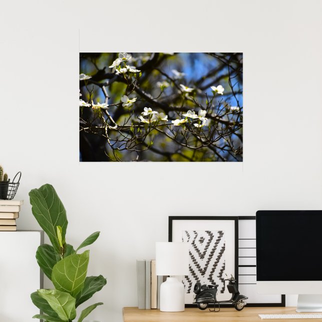 Póster Dogwood Blossom, (Oficina en casa)