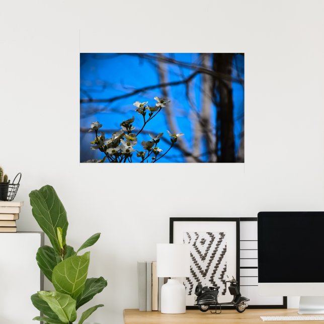 Póster Dogwood Blossom, (Oficina en casa)