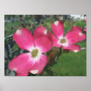 Póster Dogwood rosa