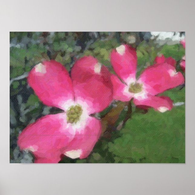 Póster Dogwood rosa (Frente)