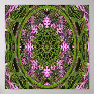 Póster Doily of Spring......