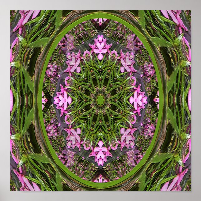 Póster Doily of Spring...... (Frente)