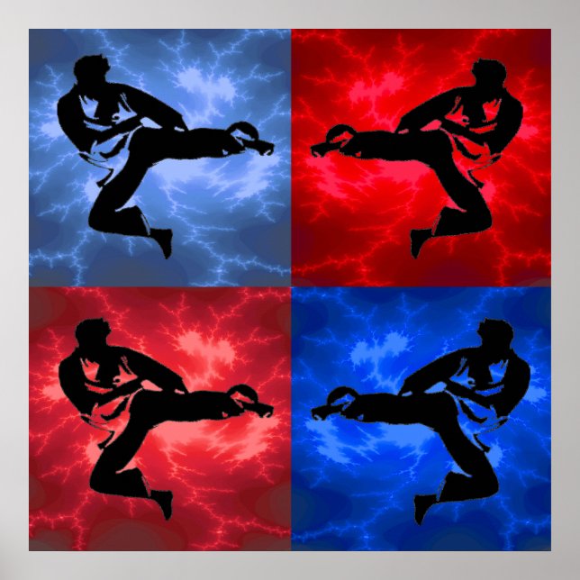 Póster Dojo (Frente)