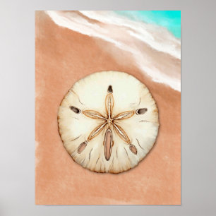 Póster Dólar de arena acuática en la playa