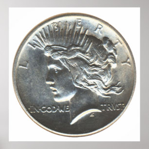 Póster Dólar de la libertad