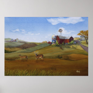 Póster Dólar del país