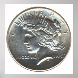 Póster Dólar libre