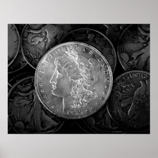 Póster Dólar plateado de 1887