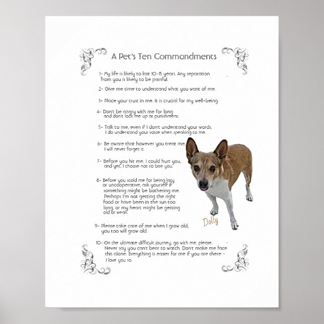 Póster Dolly - Poster (Frente)