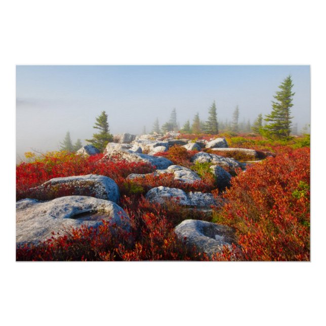 Póster Dolly Sods Wilderness Cae Escenario Con Niebla (Anverso)