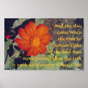 Póster Dolor y riesgo - Anais Nin - poster