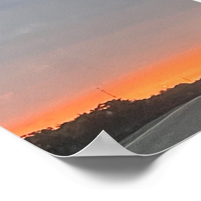 PÓSTER DOLPHIN (Esquina)