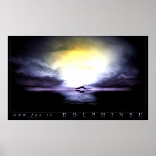 Póster Dolphin 2