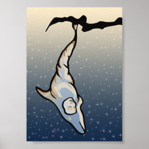 Póster dolphin cocoon
