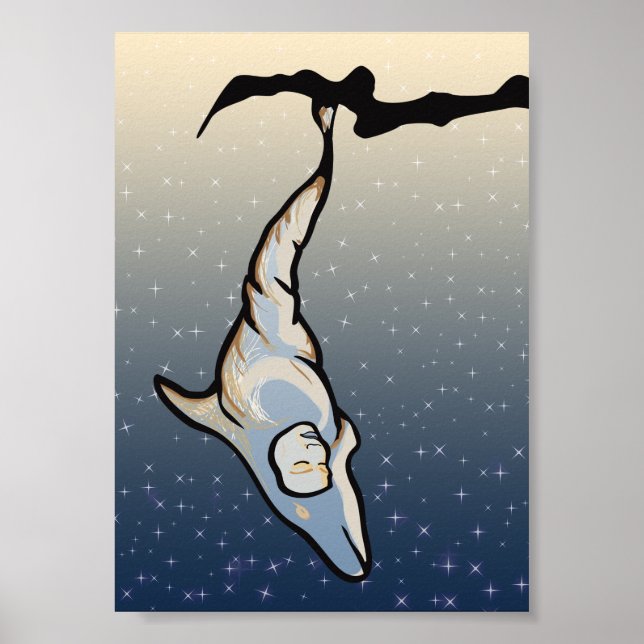 Póster dolphin cocoon (Frente)