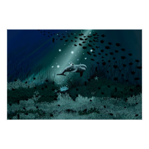 Póster Dolphin Dream