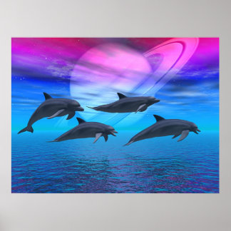 Póster Dolphin Dreams