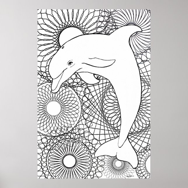 Póster Dolphin Harmony (Frente)
