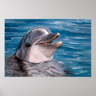PÓSTER DOLPHIN HEAD