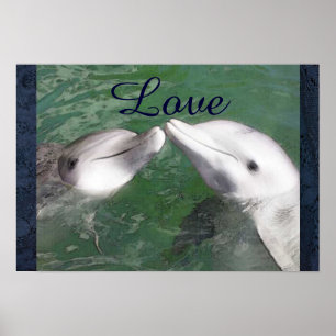 Póster Dolphin Love Fish Water Marine Ocean Animal Cute