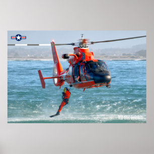 PÓSTER DOLPHIN MH-65C