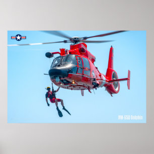 PÓSTER DOLPHIN MH-65D