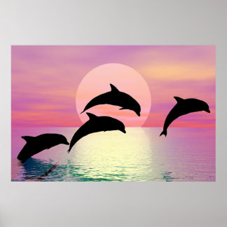Póster Dolphin Silhouette