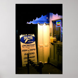 Póster Dolphin Take Out At Night in Santa Cruz