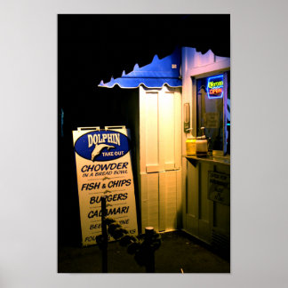 Póster Dolphin Take Out At Night in Santa Cruz