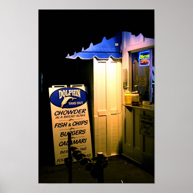 Póster Dolphin Take Out At Night in Santa Cruz (Frente)