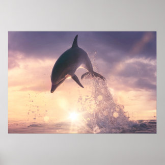 Póster Dolphin wall art