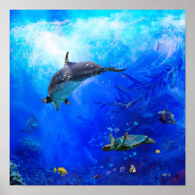 Póster Dolphin World WIND ON WATER (Frente)
