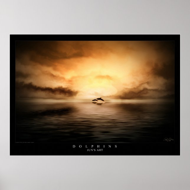 Póster Dolphins (Frente)