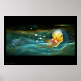 PÓSTER DOLPHINS MIND