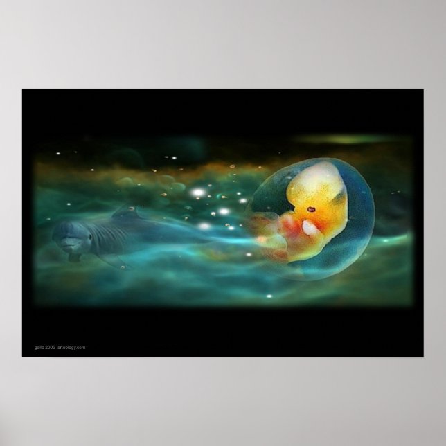 PÓSTER DOLPHINS MIND (Frente)