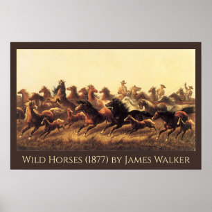 Póster Domando Caballos Salvajes por James Walker