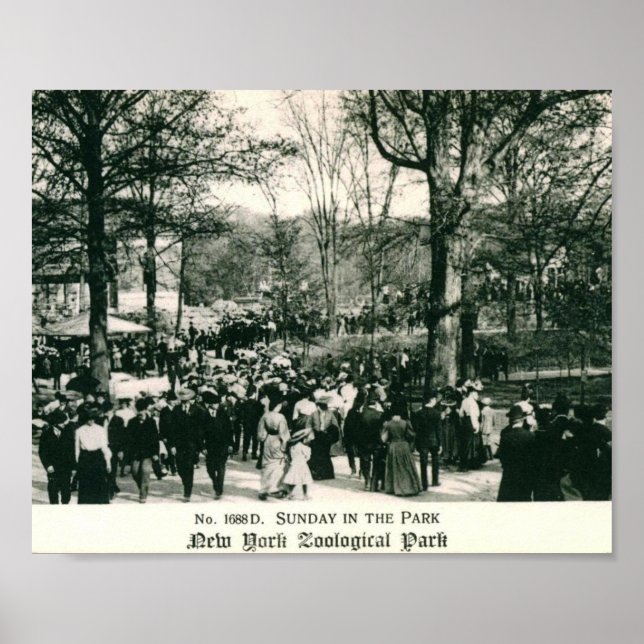 Póster Domingo en el Zoológico de Bronx (Frente)