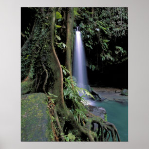 Póster Dominica, Estanque Esmeralda, Cascada.
