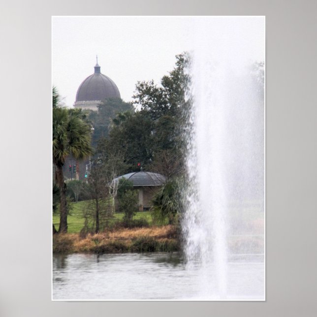 Póster Dominios En El Parque (Frente)