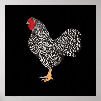 Póster Dominique Rooster