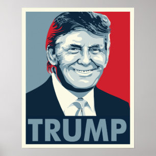 Póster Donald Trump