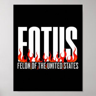 Póster Donald Trump 47 Fotus Felón De Los Estados Unidos 