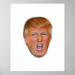 Póster Donald Trump flotante