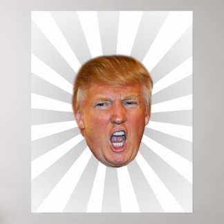 Póster Donald Trump flotante