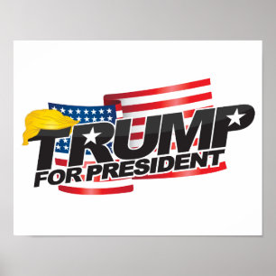 Póster Donald Trump Poster de presidente (con pelo)