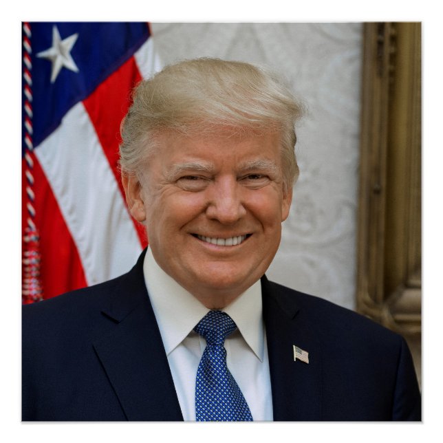 Póster Donald Trump US President White House MAGA 2024  (Anverso)