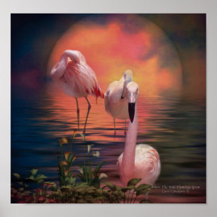 Póster Donde El Flamingo Salvaje Crece Poster/Impresión