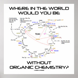Póster ¿Dónde En El Mundo No Hay Química Orgánica?