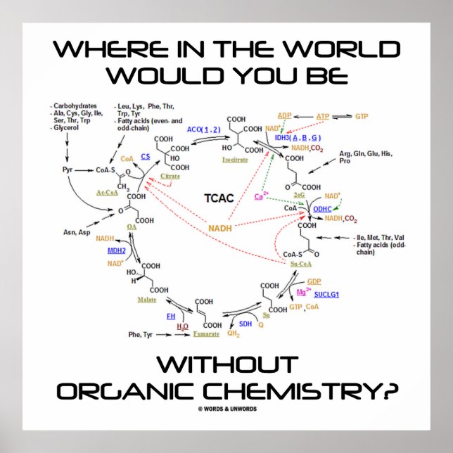 Póster ¿Dónde En El Mundo No Hay Química Orgánica? (Frente)