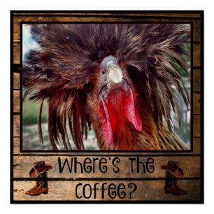 Póster Donde está el café con el pollo polaco